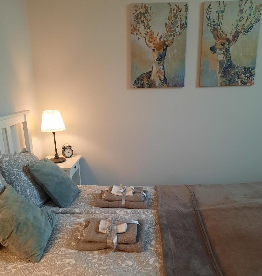 Apartamenty Bydgostia Bydhošť Exteriér fotografie