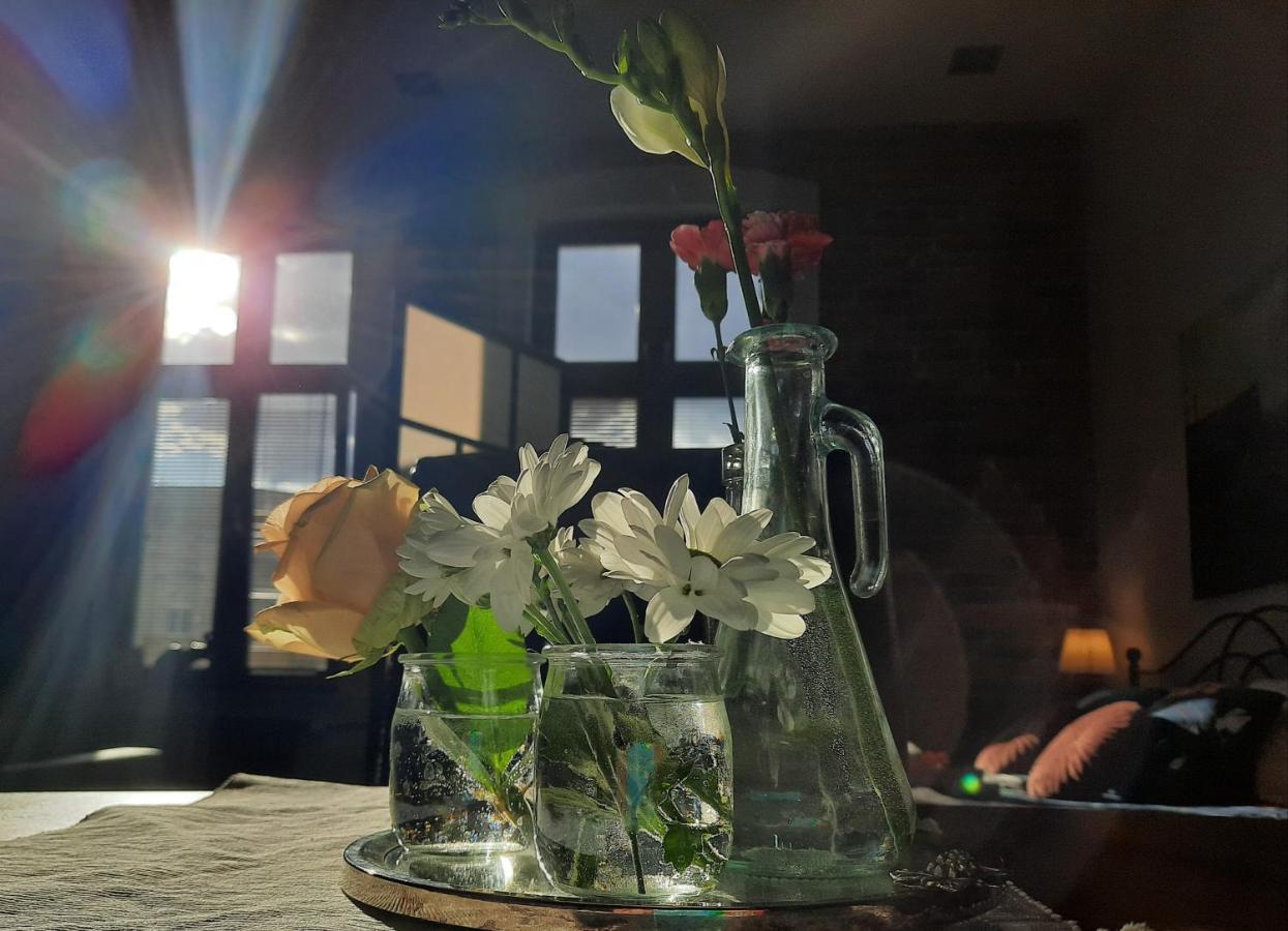 Apartamenty Bydgostia Bydhošť Exteriér fotografie