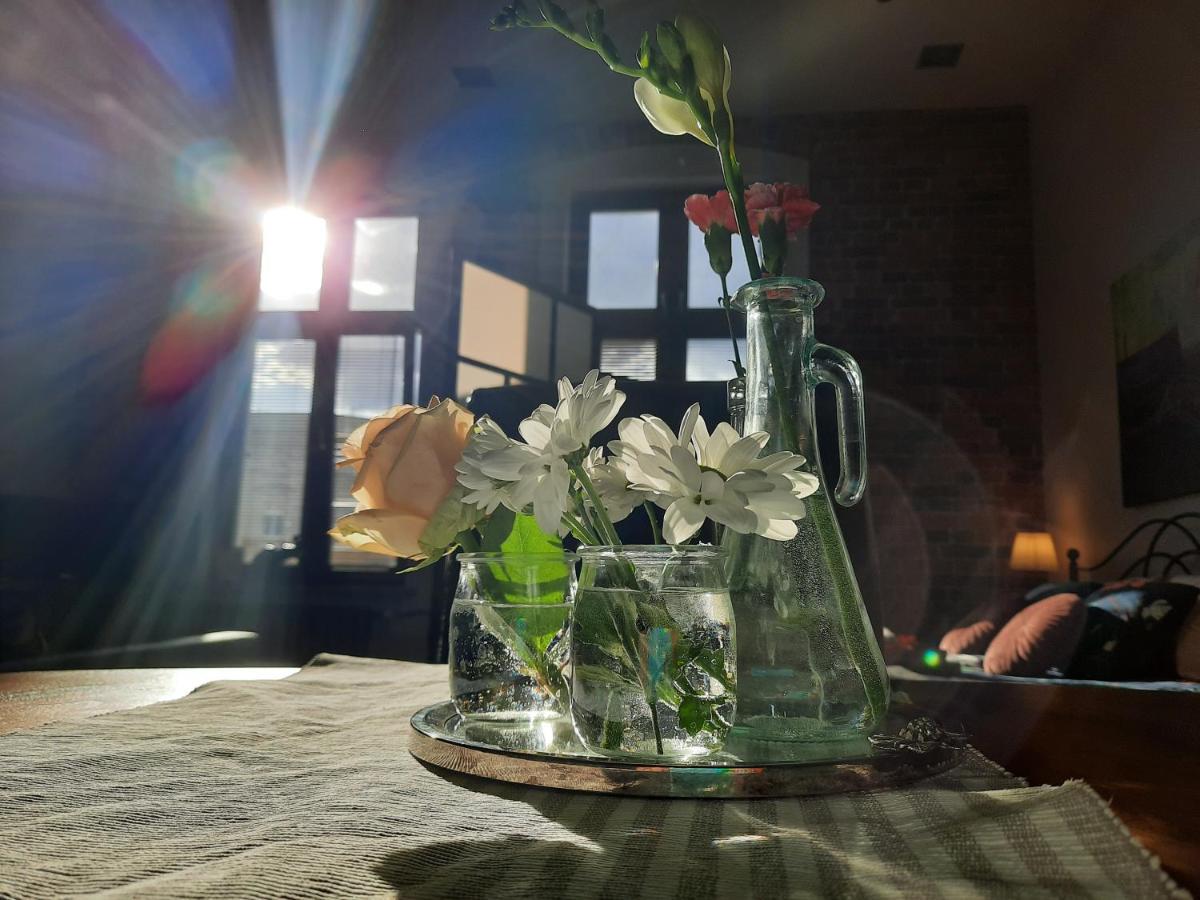 Apartamenty Bydgostia Bydhošť Exteriér fotografie